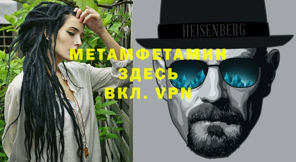 шишки Заволжск