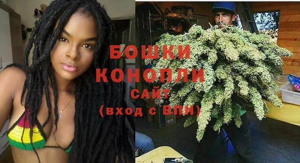 шишки Заволжск