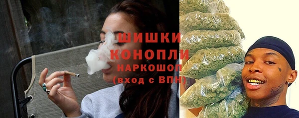 шишки Заволжск