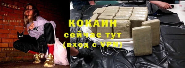 ГАЛЛЮЦИНОГЕННЫЕ ГРИБЫ Заводоуковск