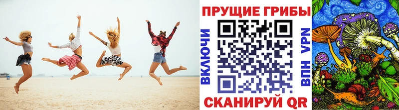 Купить Камбарка Псилоцибиновые грибы Magic Shrooms